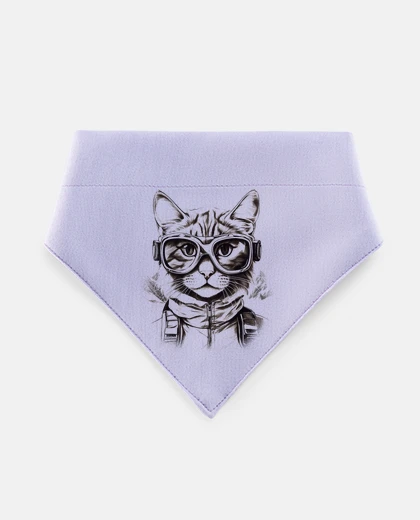 Mascotas cat with aviator look glasses