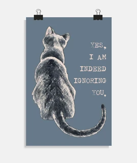 Cat Freedom