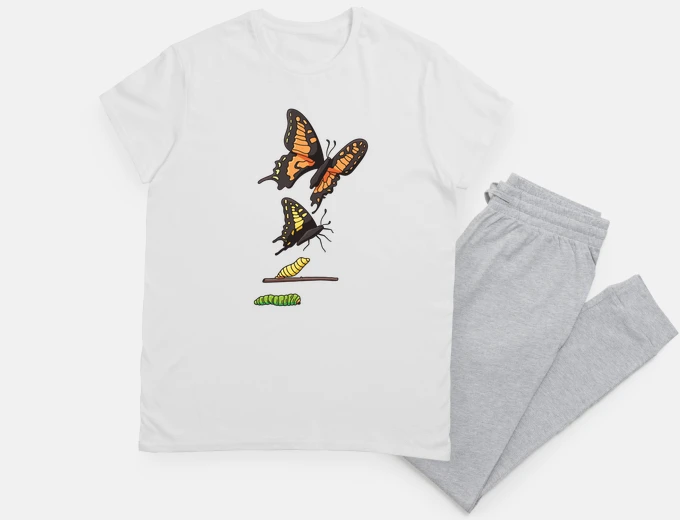 Pyjama caterpillar which becomes butterfly, flies away at night to sleep