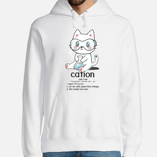 cation - chat scientifique