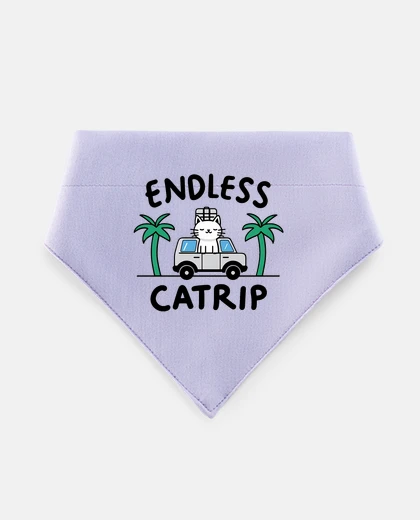 Mascotas Catrip never ends funny cat vacation