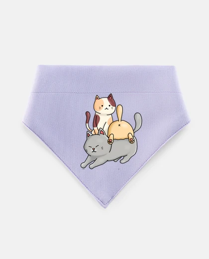 Mascotas cats pyramids funny funny nonsense