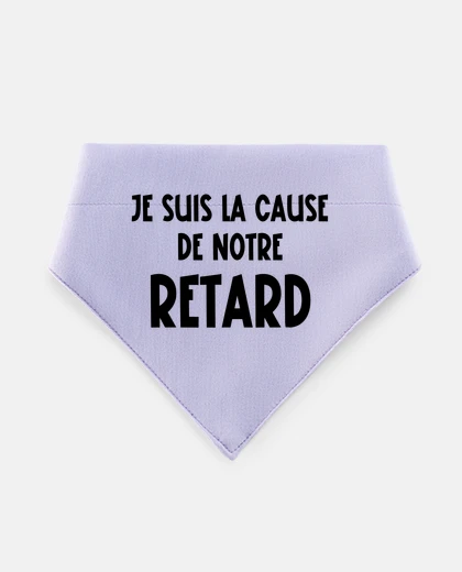 Mascotas cause de notre retard