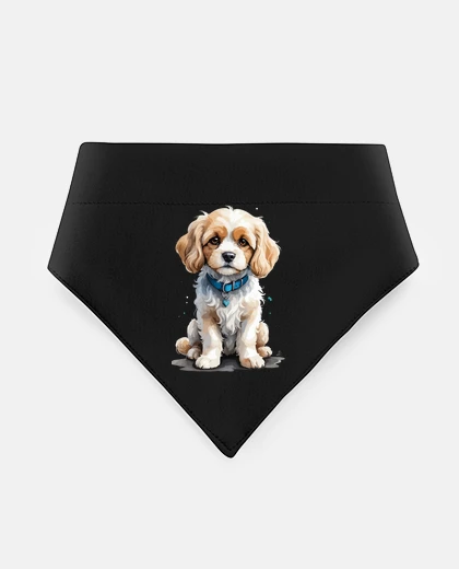 Mascotas CAVACHON chiot trop mignon