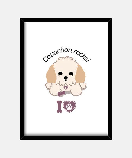 Framed Cavachon rocks