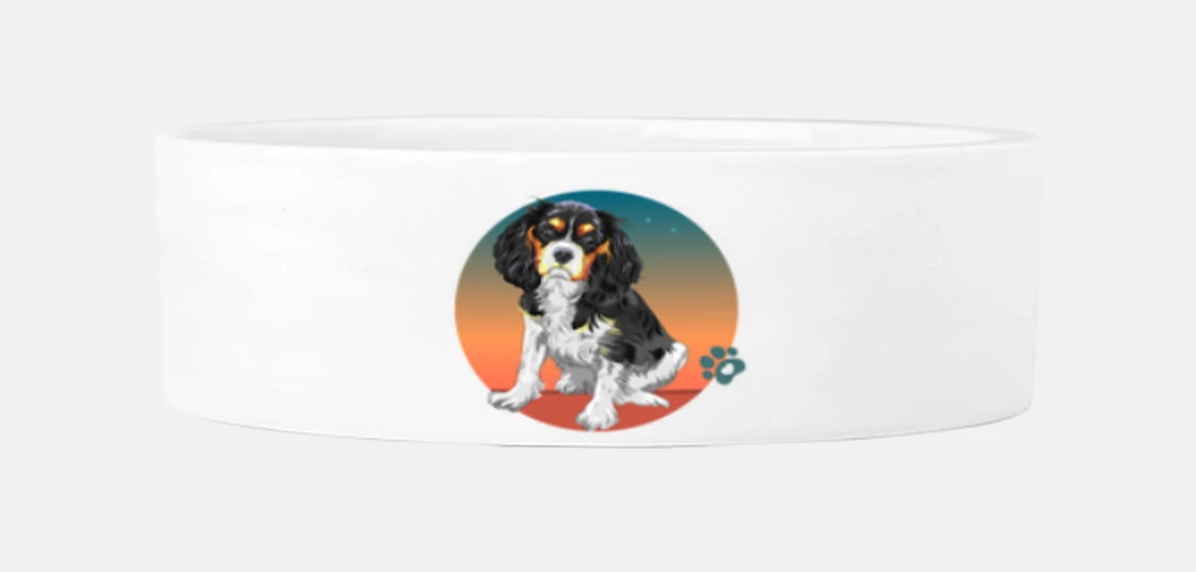 Mascotas cavalier king charles chien