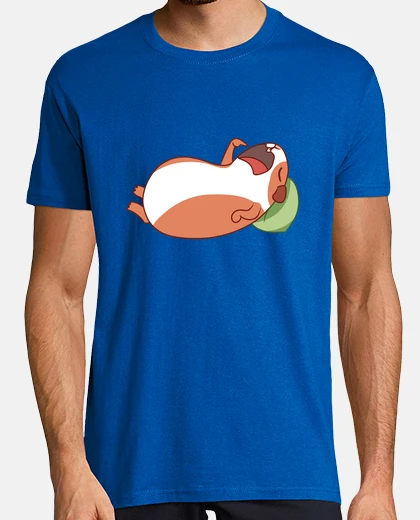 T-shirt cavia che chiede da mangiare, papà