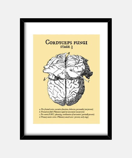 Quadro cervello clicker le t of noi lettere ne