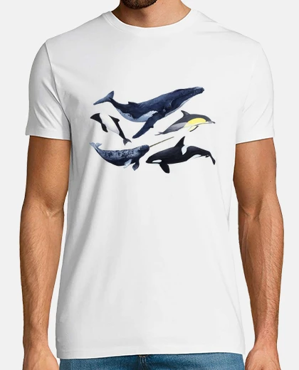 T-shirt cetaceans
