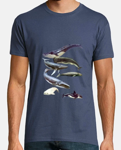 T-shirt cetacei