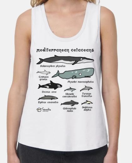 Tee-shirt cétacés scientifiques méditerranéens