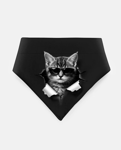 Mascotas chat avec des lunettes de soleil