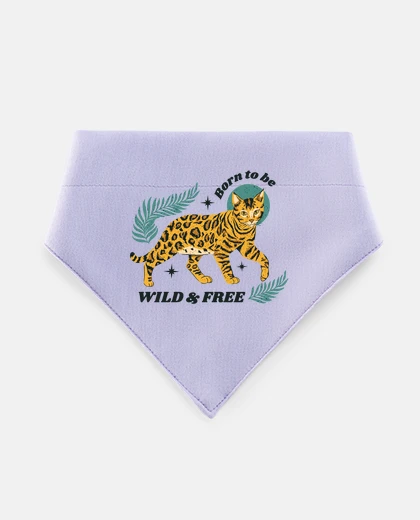 Mascotas chat du Bengal bengale chats tigre