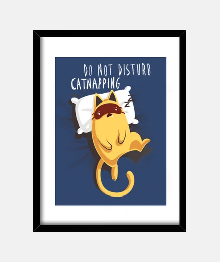 Cadre chat endormi - ne not déranger la sieste