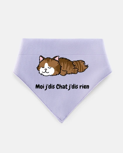 Mascotas chat humoristique humour citation