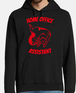 chat home office telecommuting assistan