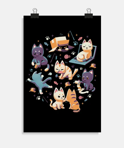 Poster chats drôles ours ours coquins