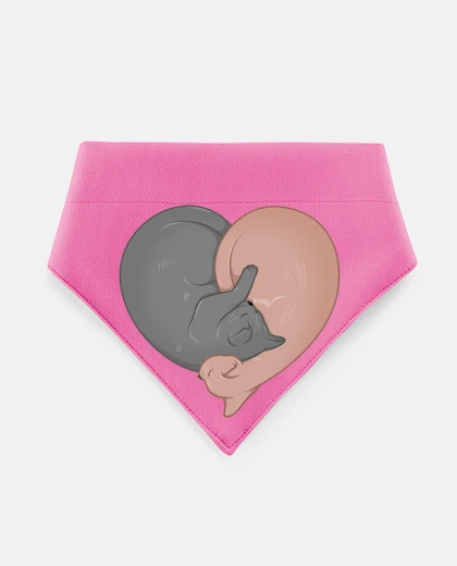 Mascotas chats yin yang amour coeur chat
