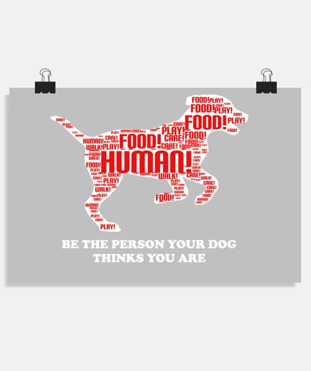Poster chien blanc espagnol