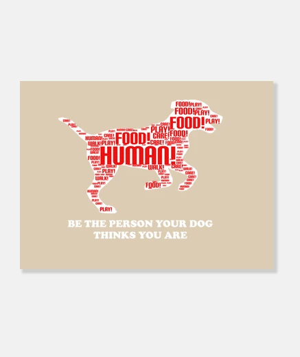 Tableau chien blanc espagnol