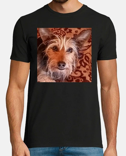Tee-shirt chien yorkshire terrier