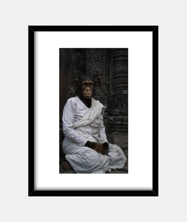 Chimpancé budista