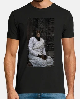 Chimpancé budista