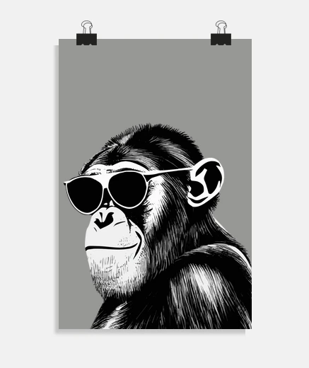 Poster chimpanzee sunglasses