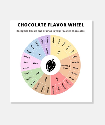 Wall chocolate flavor wheel