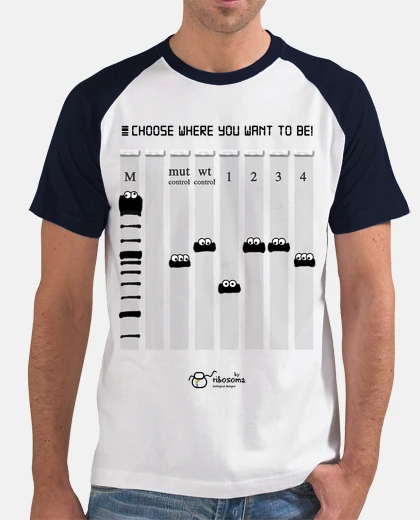 Camiseta Choose where you want to be