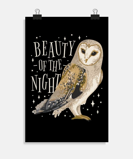 Poster chouette au clair de lune la beauté de poster affiche chambre salon 