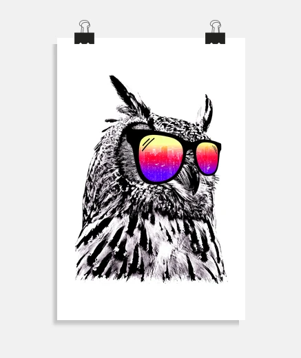 Poster chouette cool