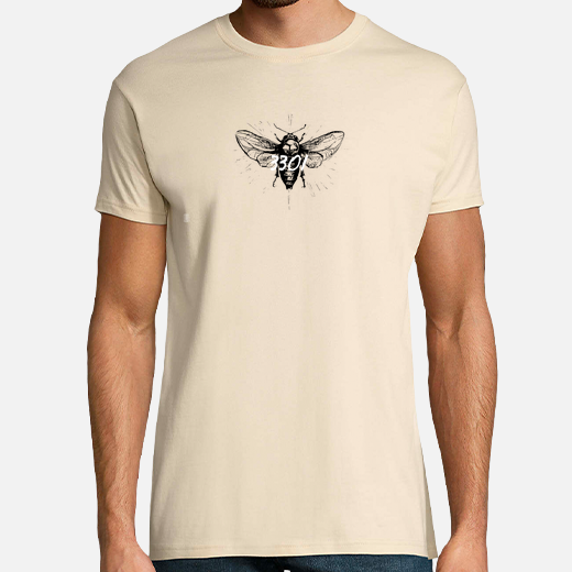 cicada desing