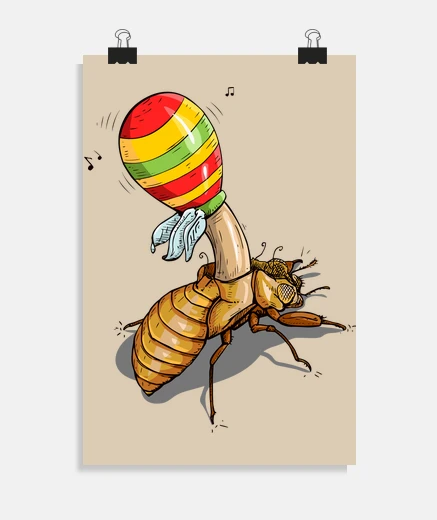 Poster cicala maracas