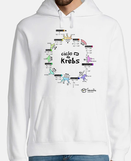 Sudadera Ciclo de Krebs (fondos claros)