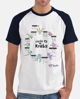 Ciclo de Krebs