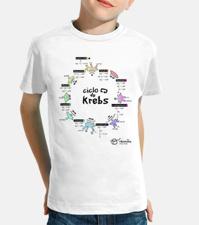Ciclo de Krebs (fondos claros)