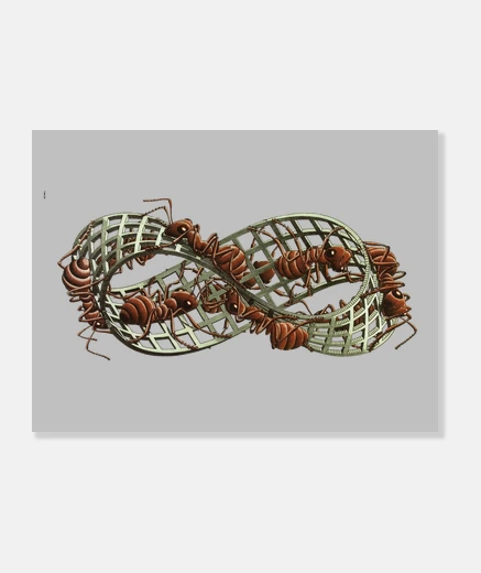 Lienzo Cinta de Moebius by Escher