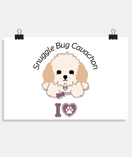 Poster coccole bug cavachon