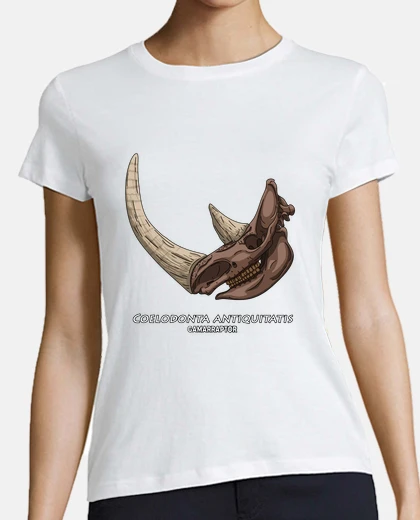 Playera coelodonta antiquitatis
