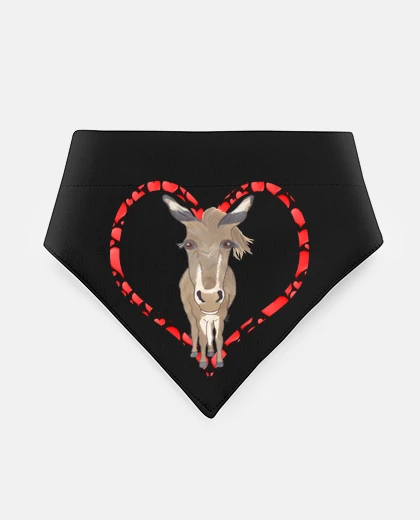 Mascotas coeur donkey majorera