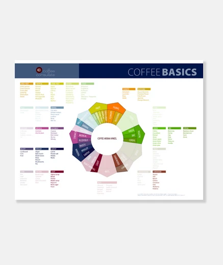 Wall coffee basics aroma wheel