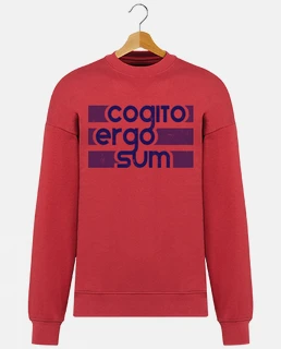 Cogito Ergo Sum
