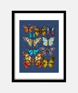 Coleccionista de Mariposas