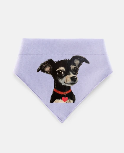 Mascotas collar chihuahua negro corazón rojo