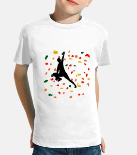 color in the climbing wall