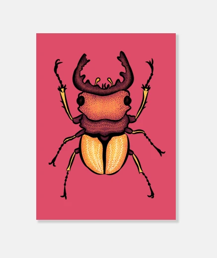Wall Colorful Stag Beetle Insect Art