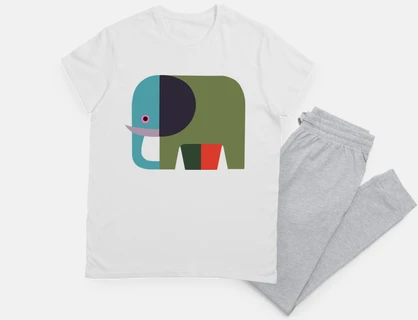 colorful elephant