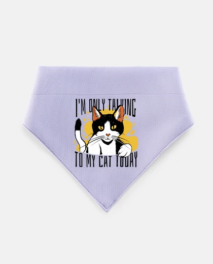 Mascotas comunicazione con i gatti gattino