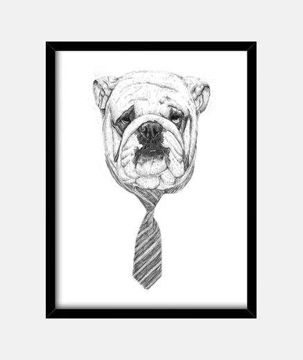 Framed cooldog
